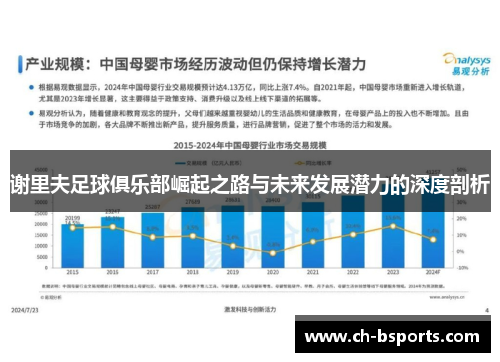谢里夫足球俱乐部崛起之路与未来发展潜力的深度剖析