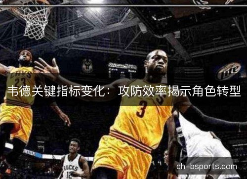 韦德关键指标变化:攻防效率揭示角色转型 韦德关键指标变化:攻防效率揭示角色转型
